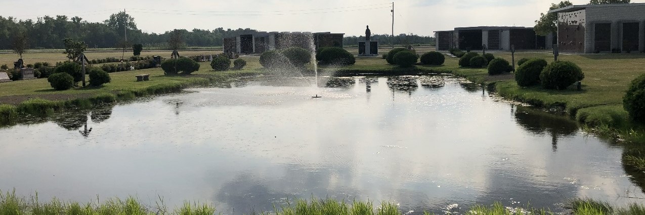 Pond and Fountain